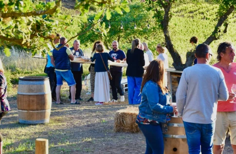 Ateliers dégustation à Roquefort-la-Bédoule
